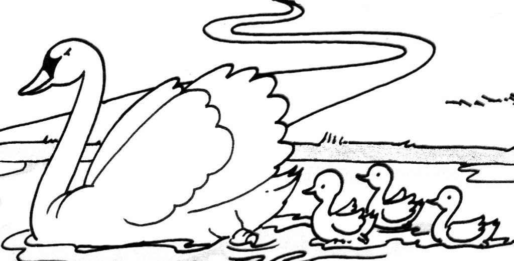 ぬりえページ: 白鳥 (動物) #5008 - 無料の印刷可能なぬりえページ