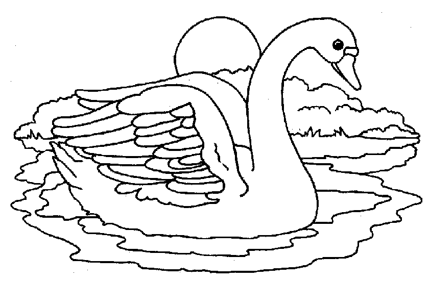 ぬりえページ: 白鳥 (動物) #5014 - 無料の印刷可能なぬりえページ