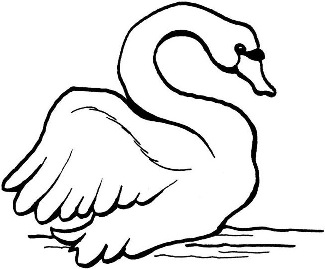 ぬりえページ: 白鳥 (動物) #5033 - 無料の印刷可能なぬりえページ