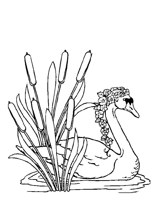 ぬりえページ: 白鳥 (動物) #5038 - 無料の印刷可能なぬりえページ