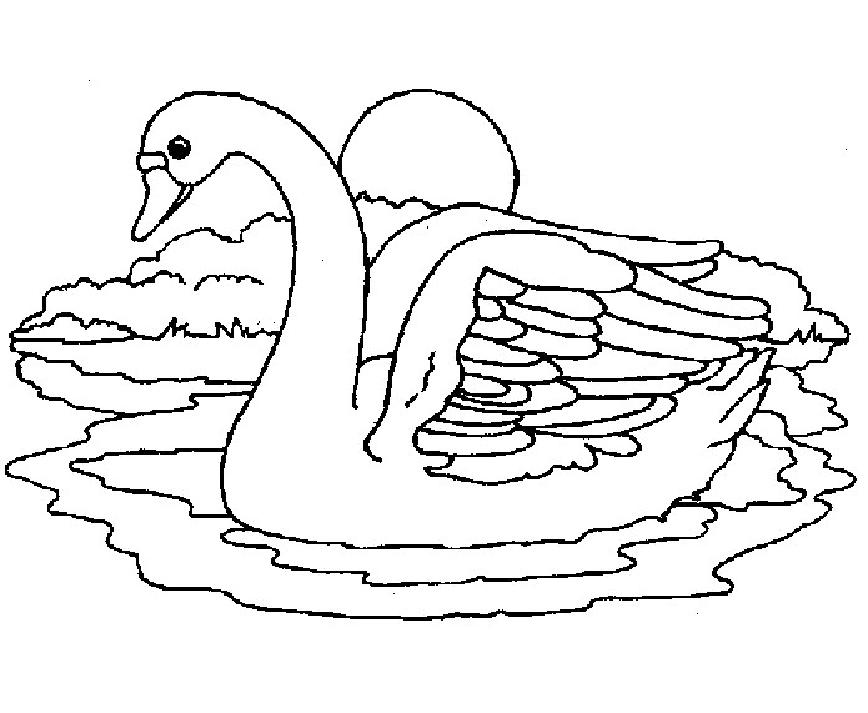 ぬりえページ: 白鳥 (動物) #5055 - 無料の印刷可能なぬりえページ