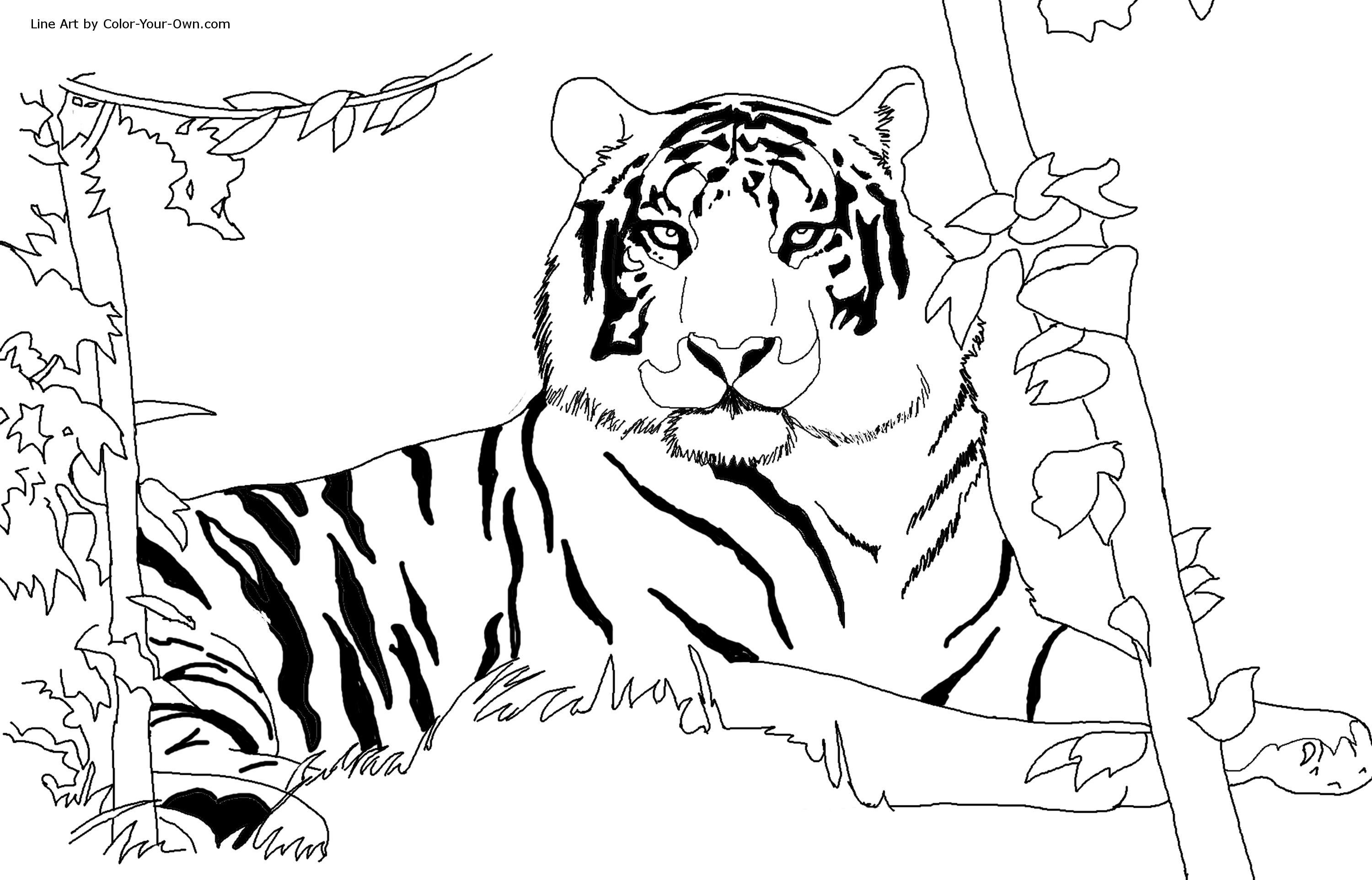 ぬりえページ: 虎 (動物) #13590 - 無料の印刷可能なぬりえページ