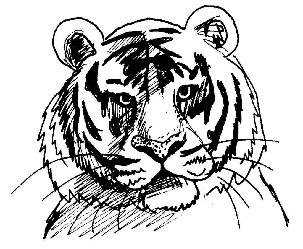 ぬりえページ: 虎 (動物) #13610 - 無料の印刷可能なぬりえページ