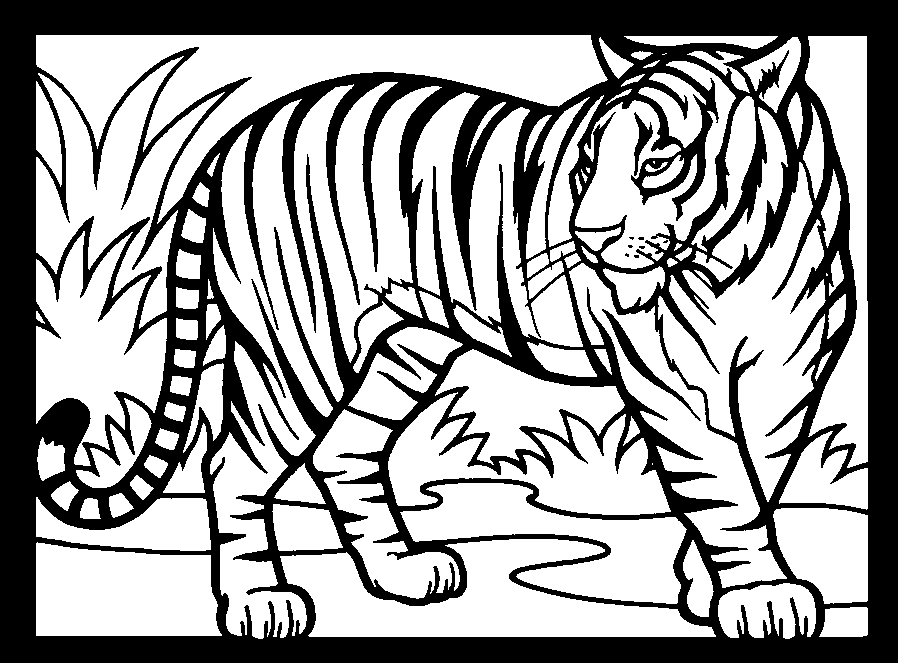 ぬりえページ: 虎 (動物) #13615 - 無料の印刷可能なぬりえページ