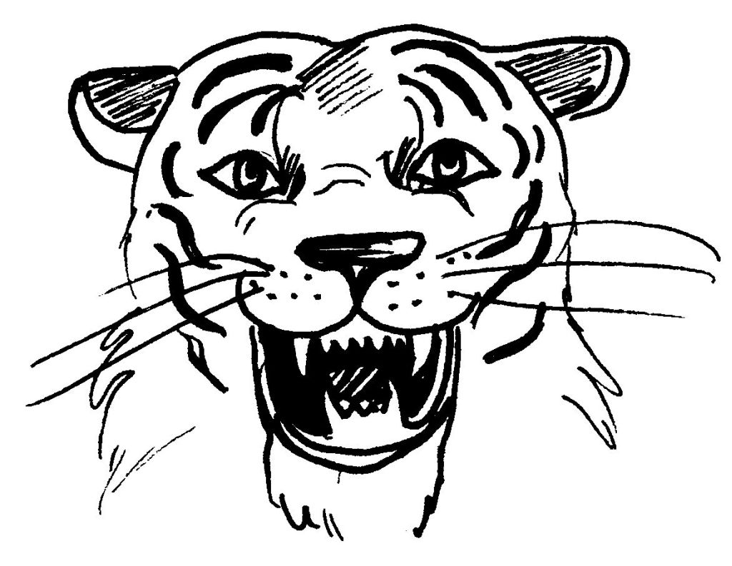 ぬりえページ: 虎 (動物) #13716 - 無料の印刷可能なぬりえページ