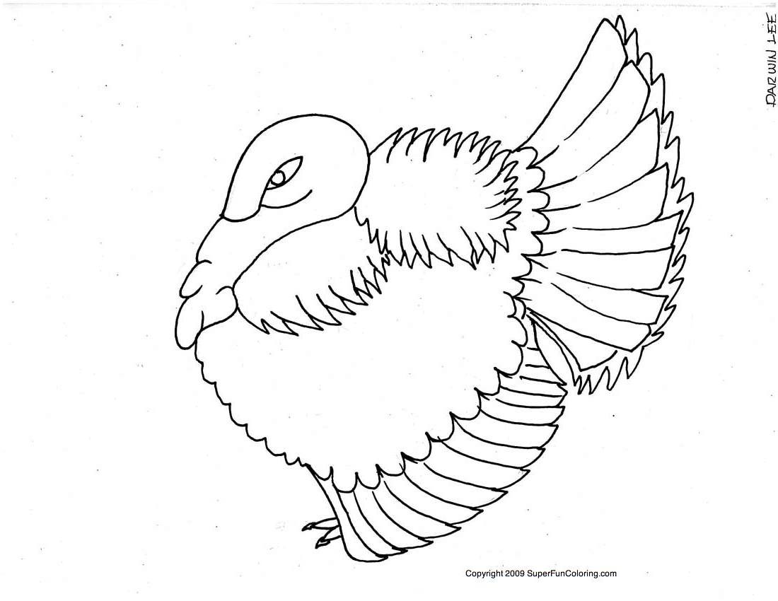 ぬりえページ: 七面鳥 (動物) #5353 - 無料の印刷可能なぬりえページ