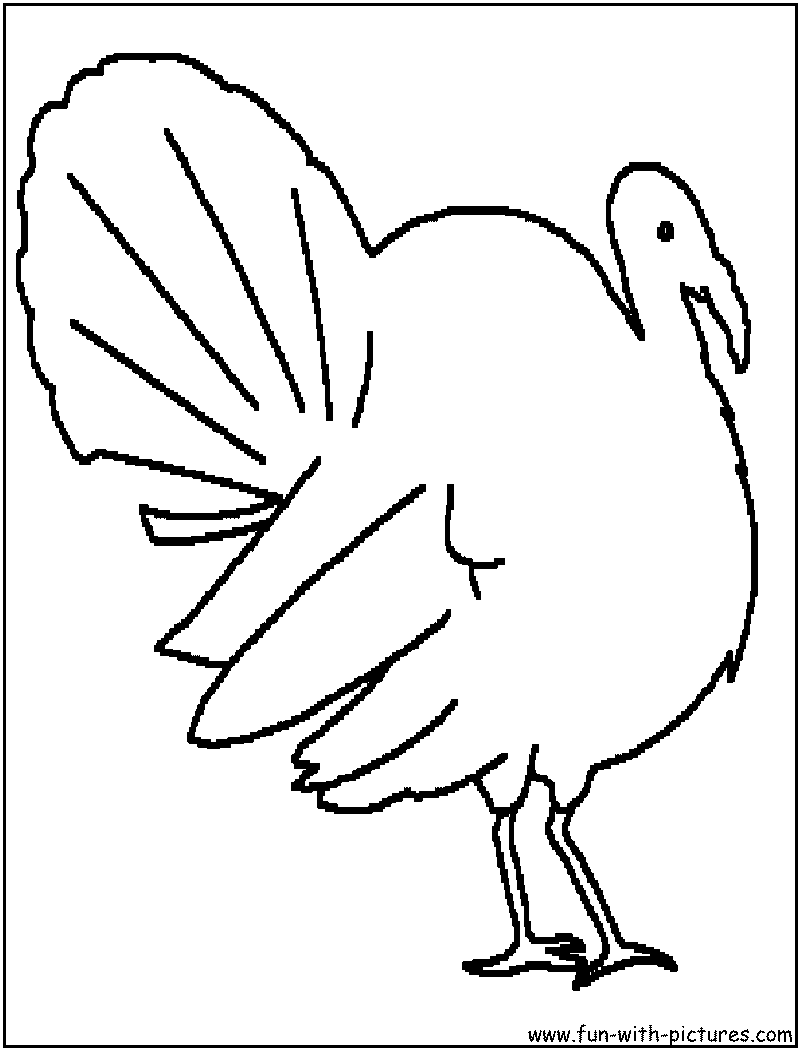 ぬりえページ: 七面鳥 (動物) #5465 - 無料の印刷可能なぬりえページ