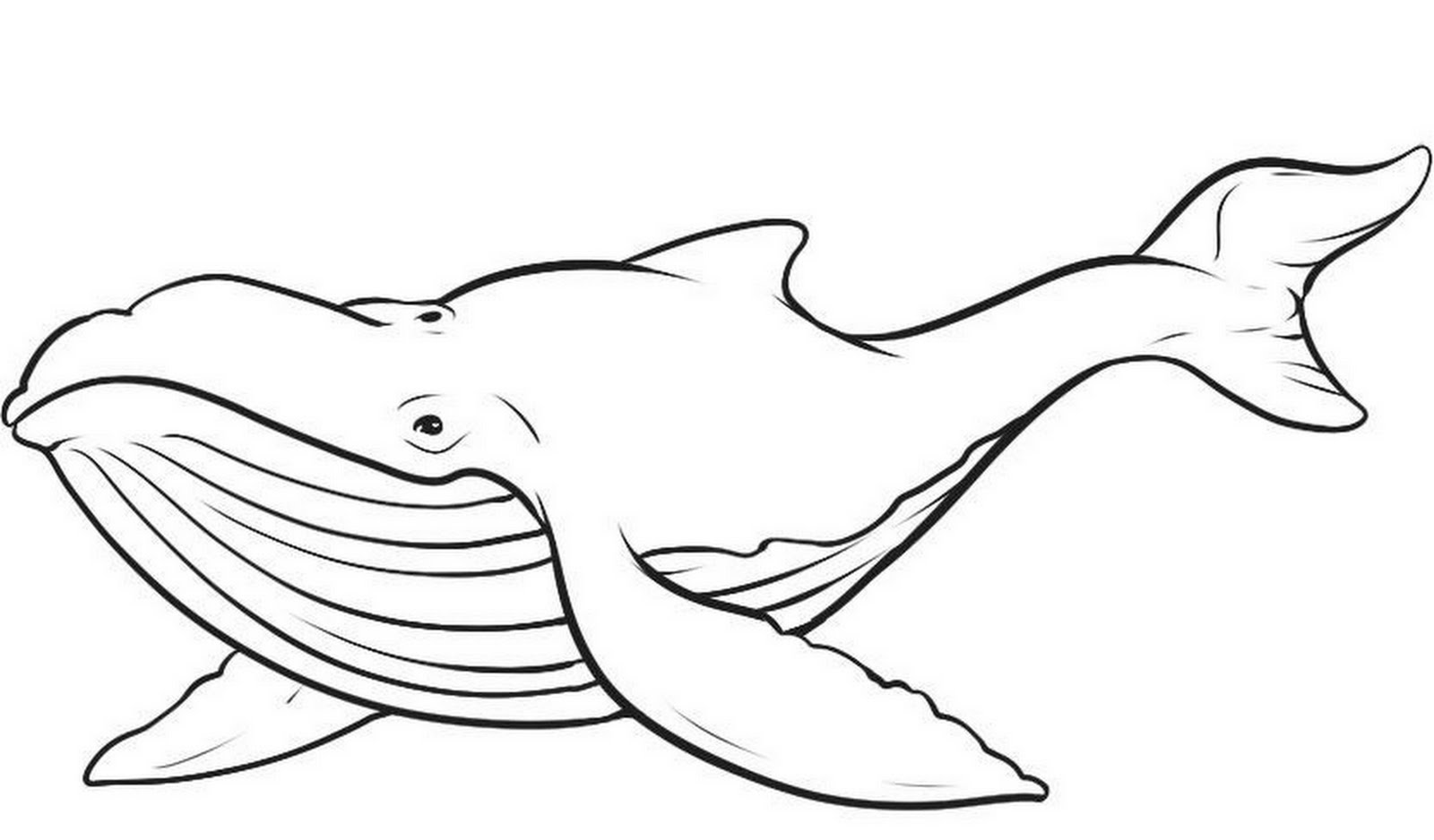 ぬりえページ: 鯨 (動物) #865 - 無料の印刷可能なぬりえページ
