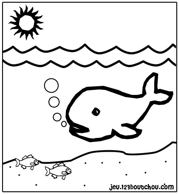 ぬりえページ: 鯨 (動物) #867 - 無料の印刷可能なぬりえページ