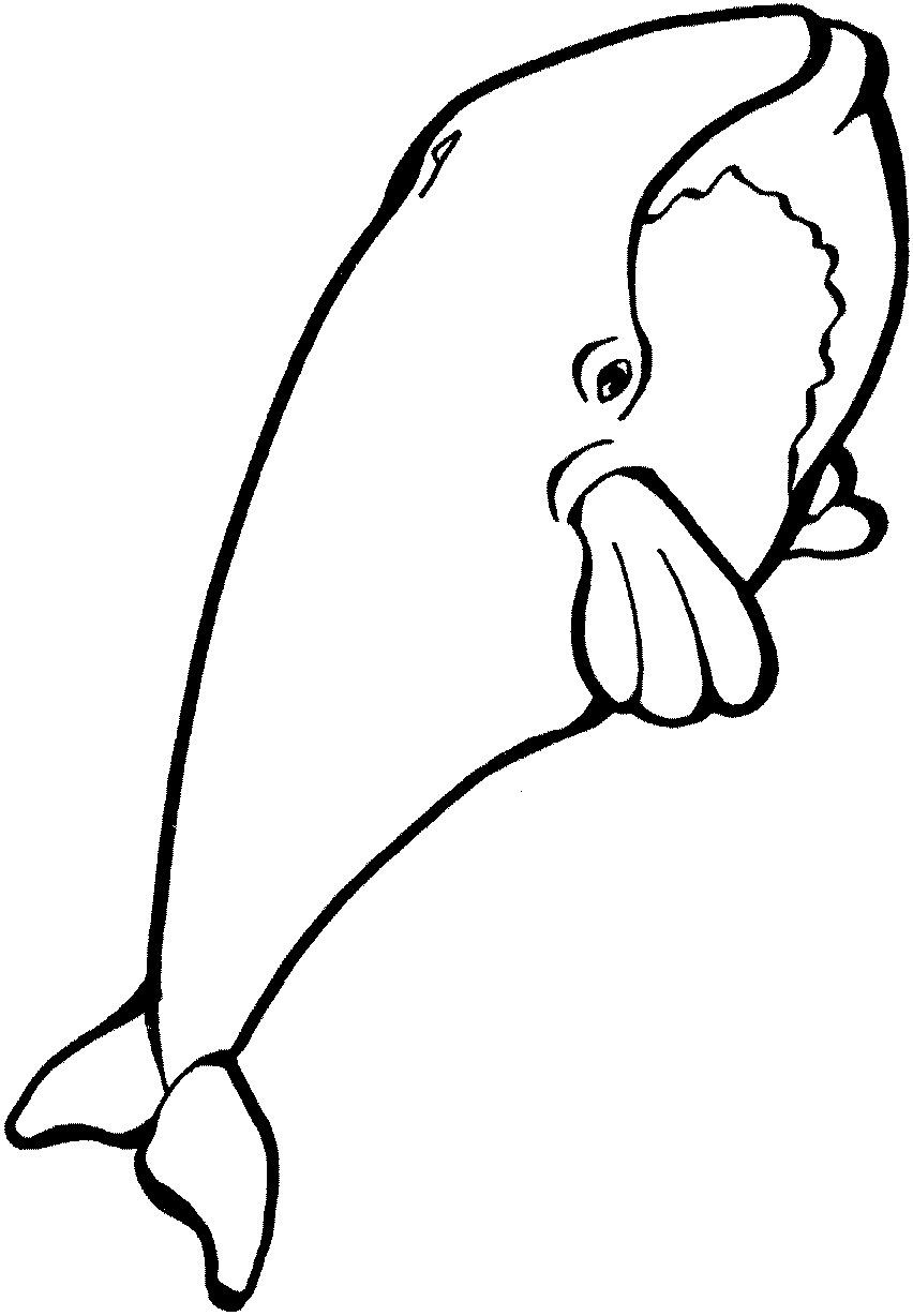 ぬりえページ: 鯨 (動物) #880 - 無料の印刷可能なぬりえページ