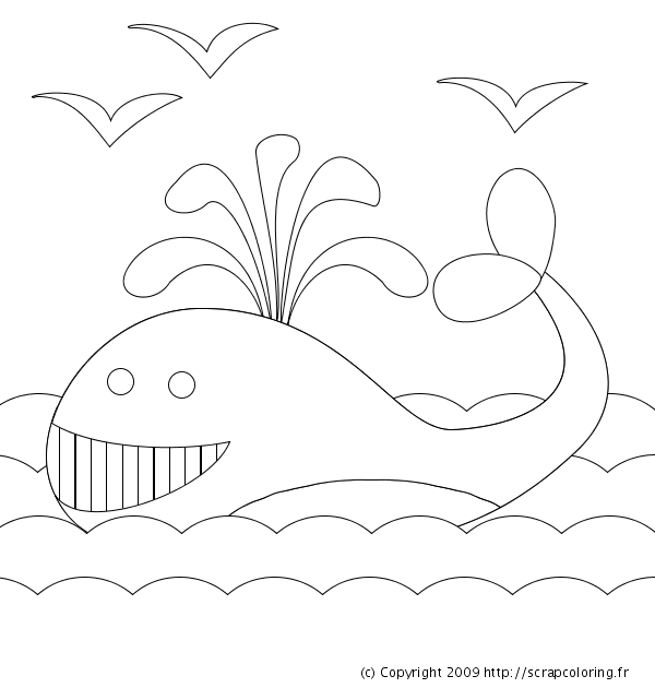ぬりえページ: 鯨 (動物) #889 - 無料の印刷可能なぬりえページ