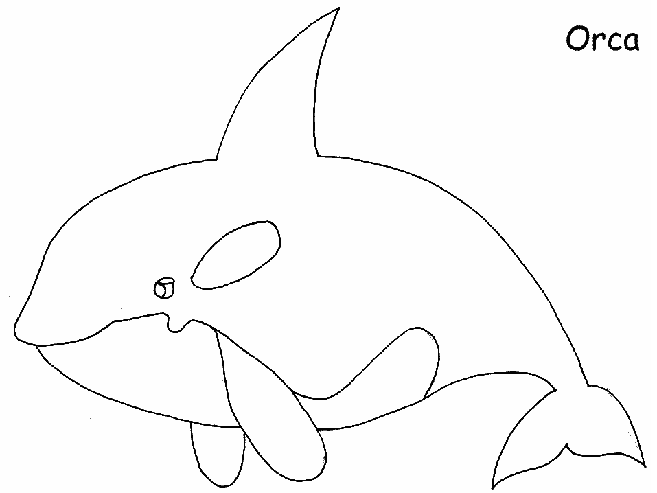 ぬりえページ: 鯨 (動物) #891 - 無料の印刷可能なぬりえページ