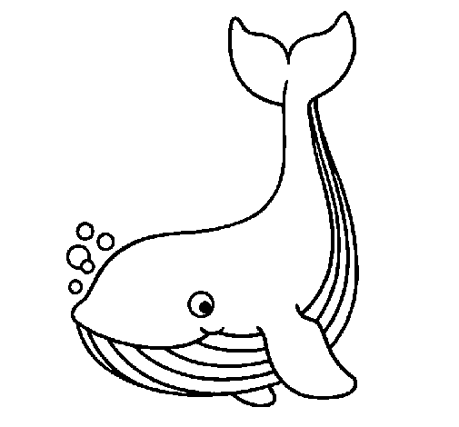ぬりえページ: 鯨 (動物) #906 - 無料の印刷可能なぬりえページ