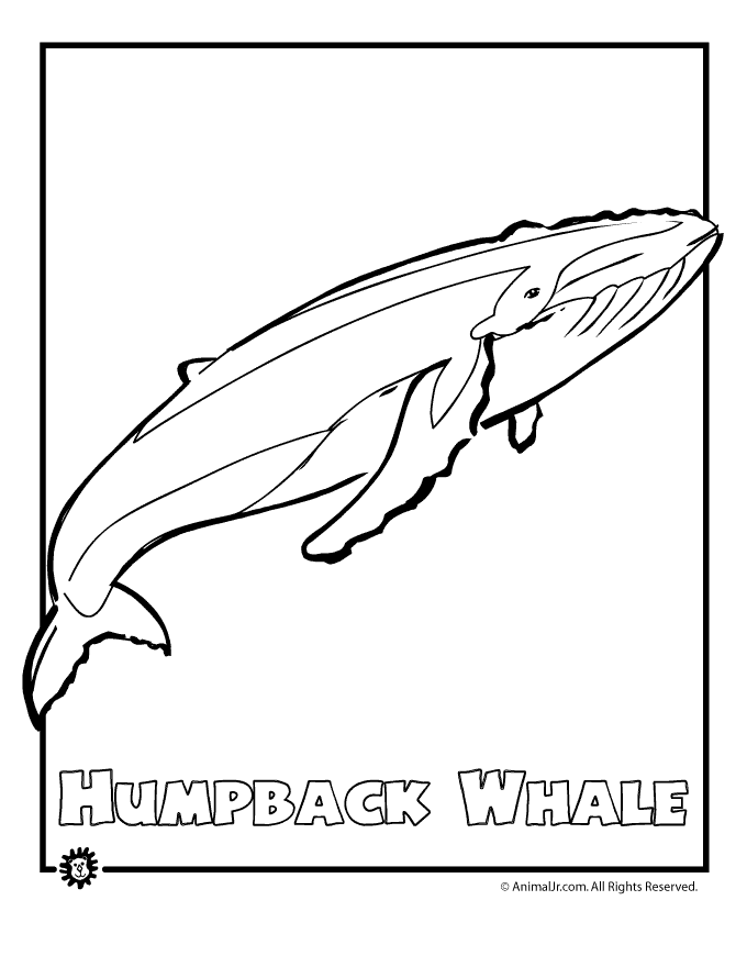ぬりえページ: 鯨 (動物) #915 - 無料の印刷可能なぬりえページ