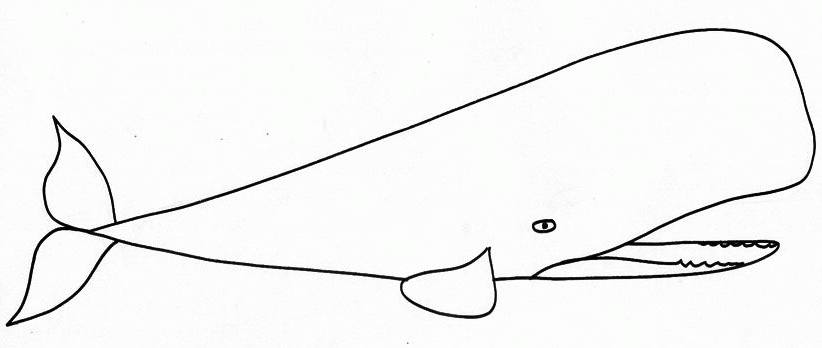 ぬりえページ: 鯨 (動物) #929 - 無料の印刷可能なぬりえページ