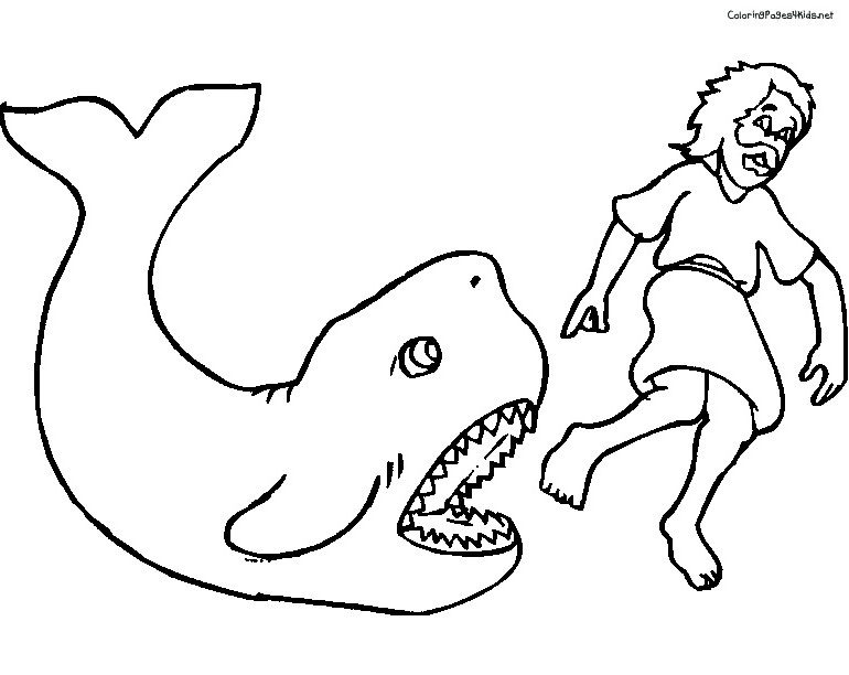 ぬりえページ: 鯨 (動物) #956 - 無料の印刷可能なぬりえページ