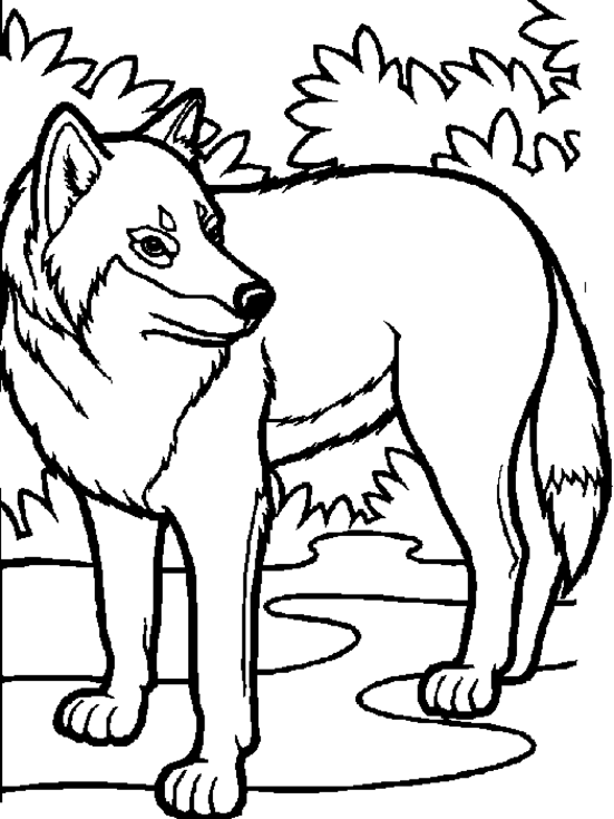 ぬりえページ: 狼 (動物) #10448 - 無料の印刷可能なぬりえページ