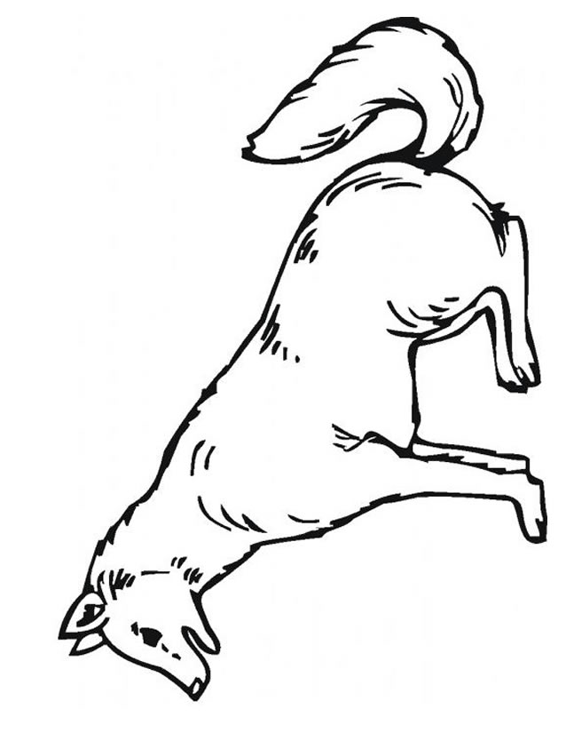 ぬりえページ: 狼 (動物) #10508 - 無料の印刷可能なぬりえページ