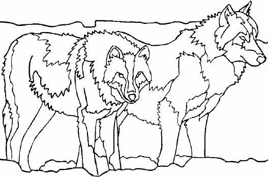 ぬりえページ: 狼 (動物) #10535 - 無料の印刷可能なぬりえページ