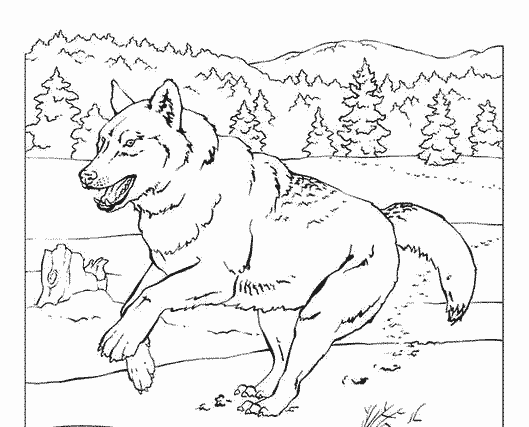 ぬりえページ: 狼 (動物) #10543 - 無料の印刷可能なぬりえページ