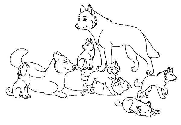 ぬりえページ: 狼 (動物) #10556 - 無料の印刷可能なぬりえページ