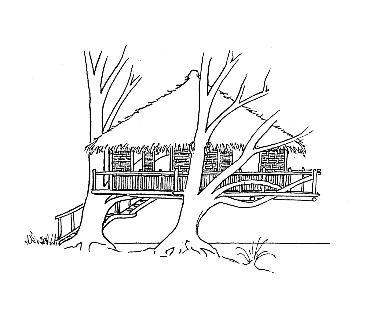 ぬりえページ: 樹上の家 (建物と建築) #66040 - 無料の印刷可能なぬりえページ