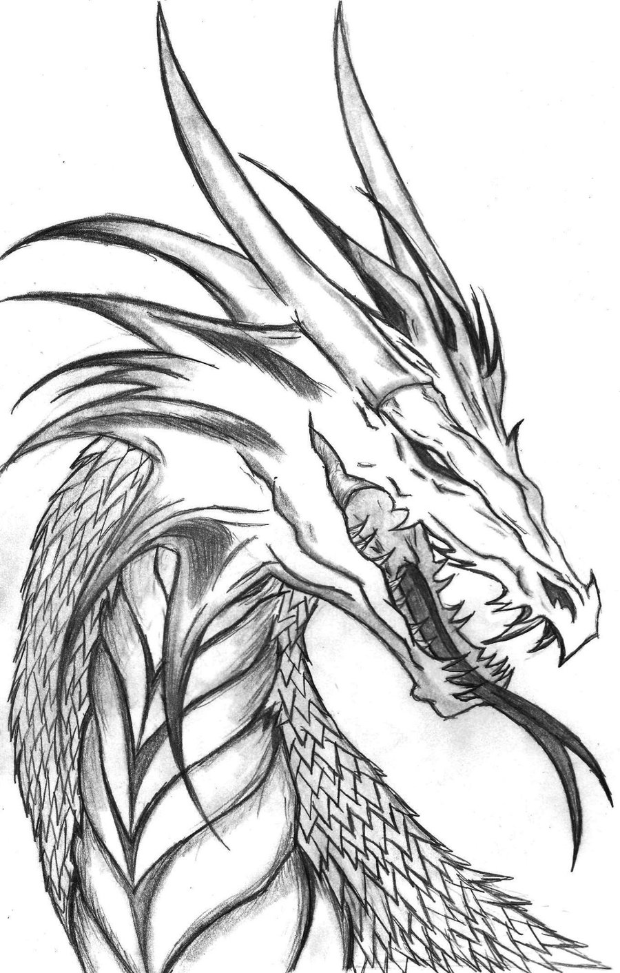 ぬりえページ: ドラゴン (キャラクター) #148368 - 無料の印刷可能なぬりえページ