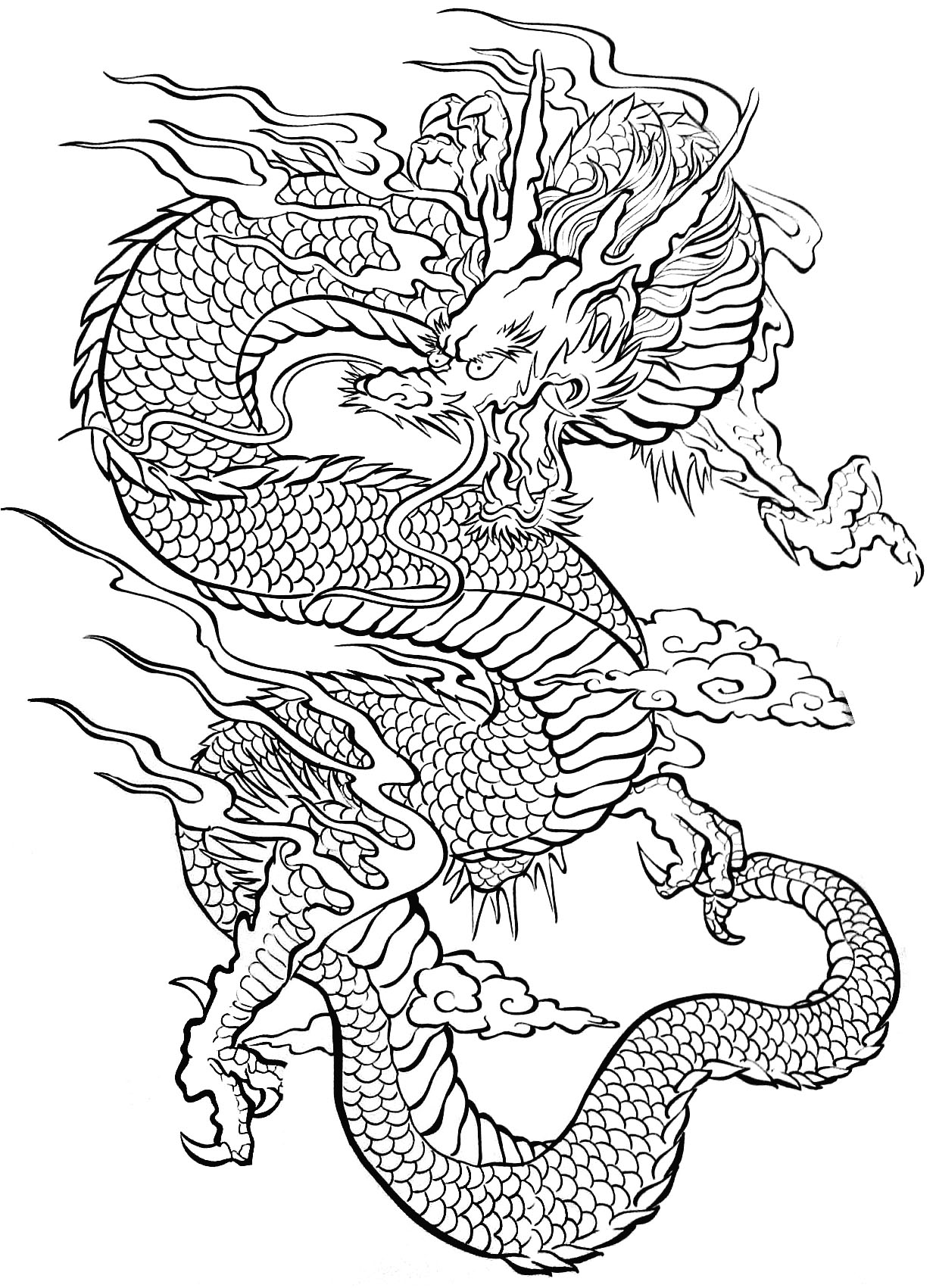 ぬりえページ: ドラゴン (キャラクター) #148394 - 無料の印刷可能なぬりえページ