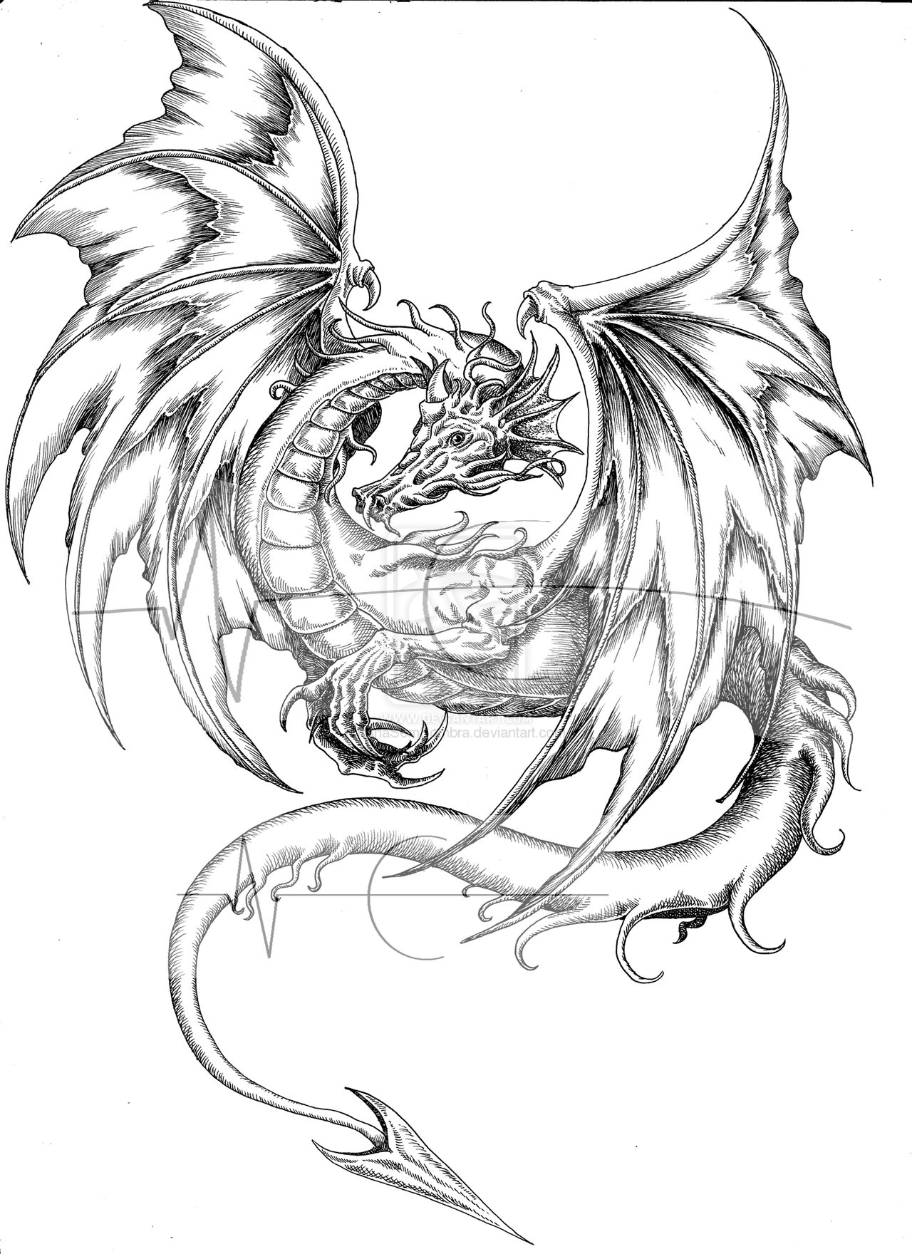 ぬりえページ: ドラゴン (キャラクター) #148555 - 無料の印刷可能なぬりえページ