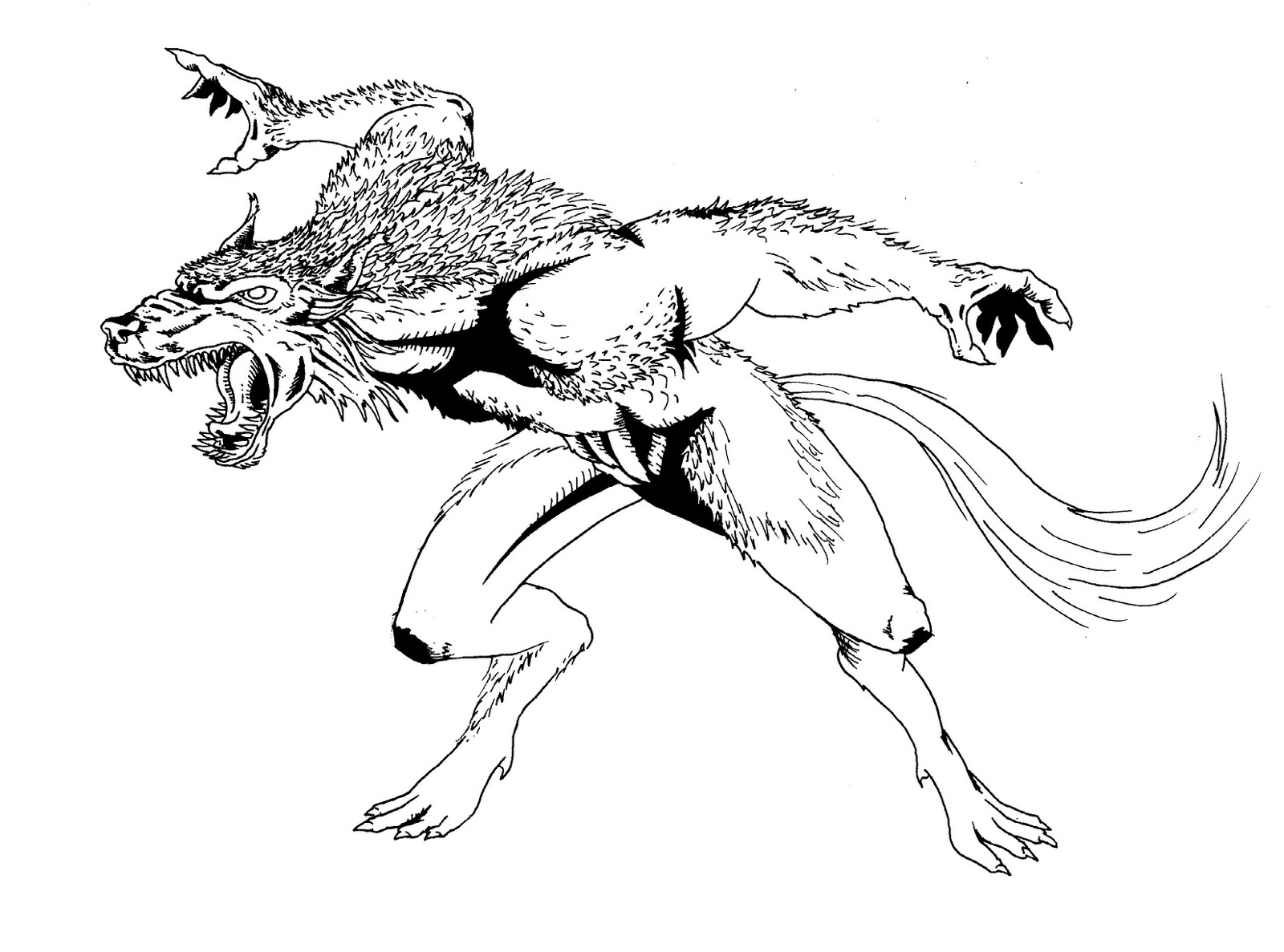 ぬりえページ: 人狼 (キャラクター) #100020 - 無料の印刷可能なぬりえページ