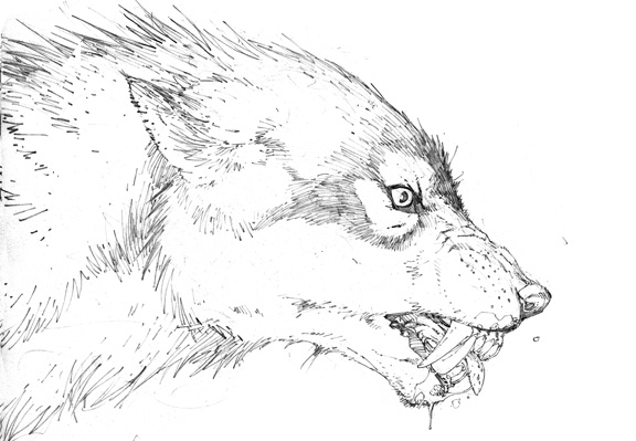 ぬりえページ: 人狼 (キャラクター) #100026 - 無料の印刷可能なぬりえページ