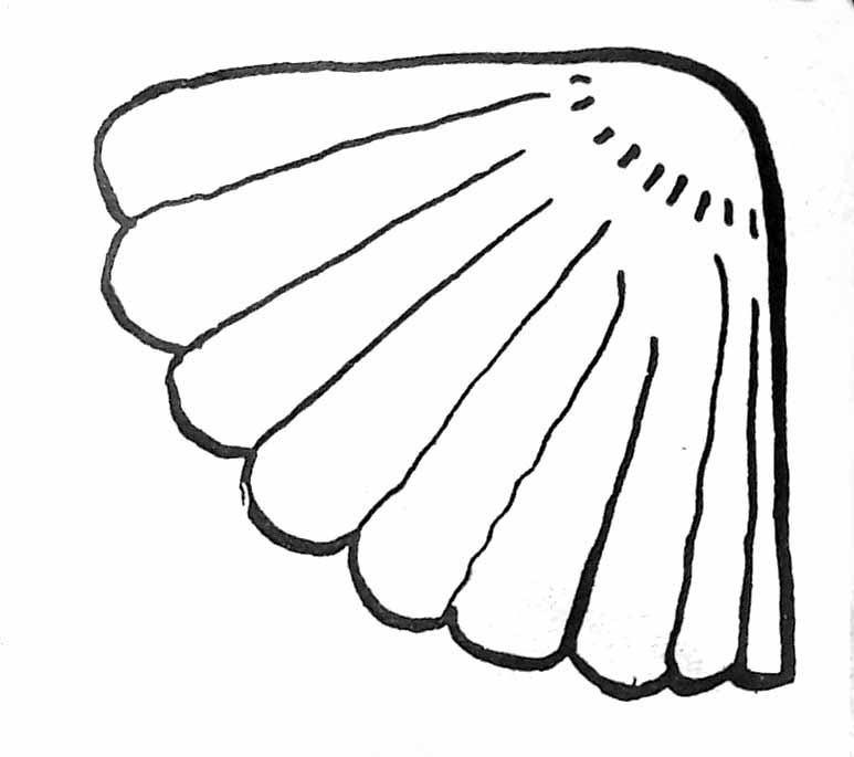 ぬりえページ: 貝殻 (自然と季節) #163147 - 無料の印刷可能なぬりえページ