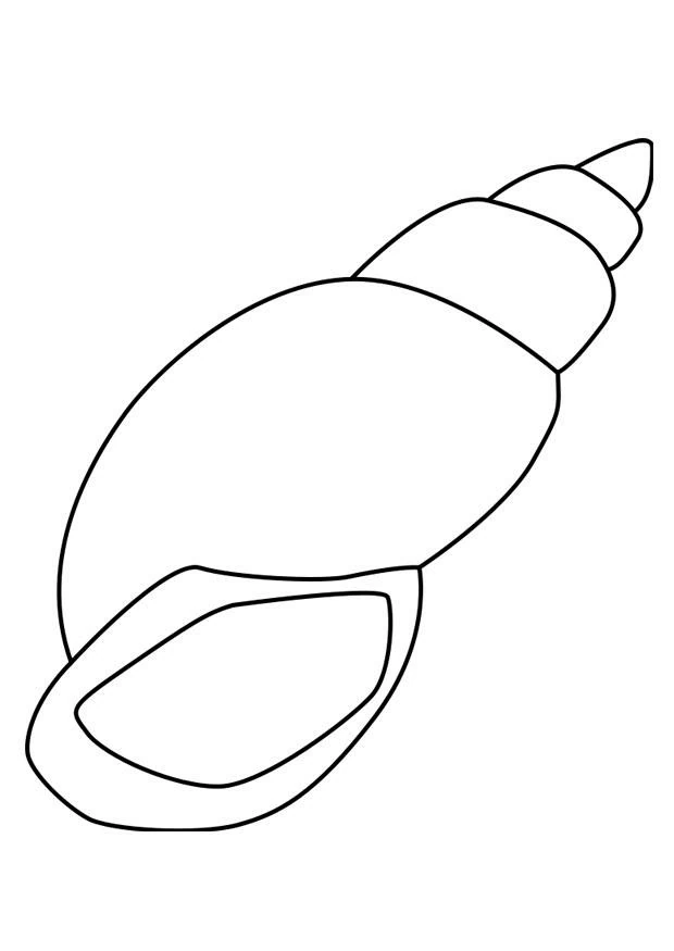 ぬりえページ: 貝殻 (自然と季節) #163153 - 無料の印刷可能なぬりえページ