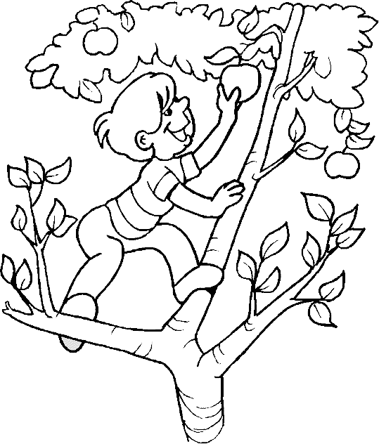 ぬりえページ: リンゴの木 (自然) #163444 - 無料の印刷可能なぬりえページ