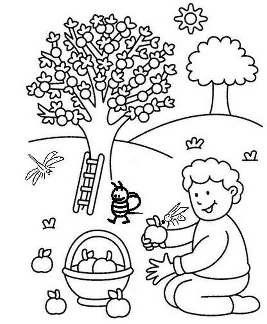 ぬりえページ: リンゴの木 (自然) #163445 - 無料の印刷可能なぬりえページ