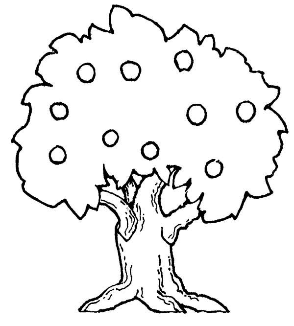 ぬりえページ: リンゴの木 (自然) #163743 - 無料の印刷可能なぬりえページ