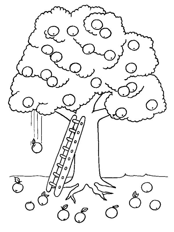 ぬりえページ: リンゴの木 (自然) #163771 - 無料の印刷可能なぬりえページ