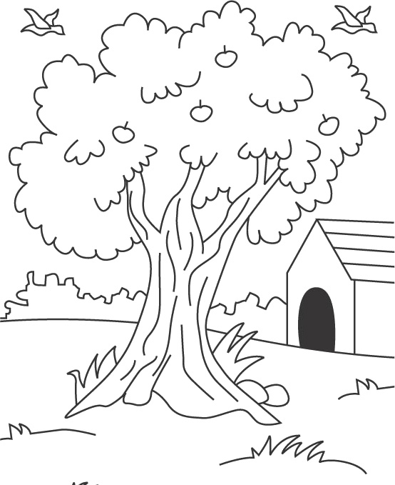 ぬりえページ: リンゴの木 (自然) #163772 - 無料の印刷可能なぬりえページ