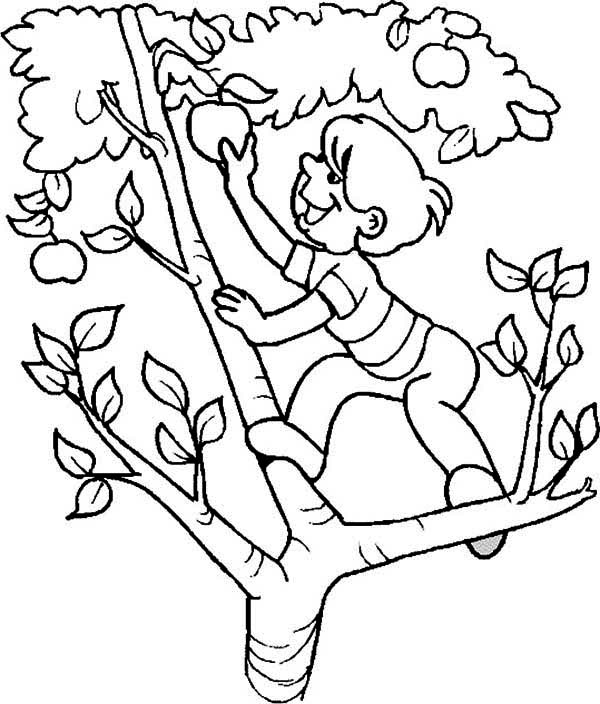 ぬりえページ: リンゴの木 (自然) #163793 - 無料の印刷可能なぬりえページ