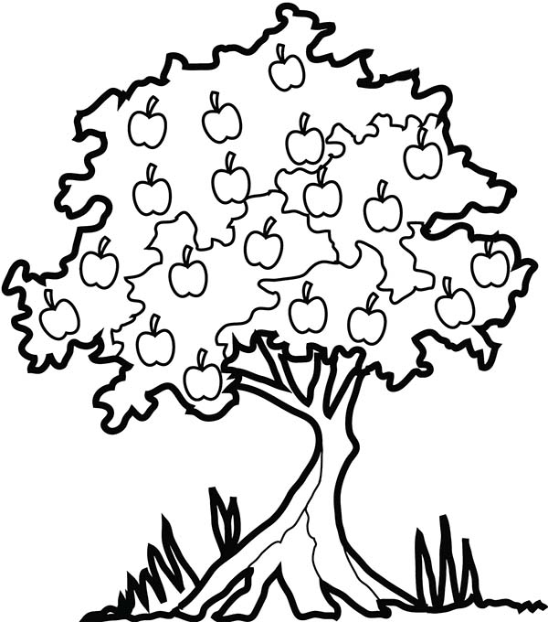 ぬりえページ: リンゴの木 (自然) #163846 - 無料の印刷可能なぬりえページ