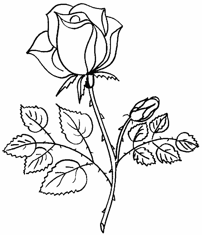 ぬりえページ: 花束 (自然) #160736 - 無料の印刷可能なぬりえページ