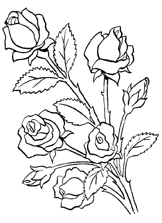 ぬりえページ: 花束 (自然) #160740 - 無料の印刷可能なぬりえページ