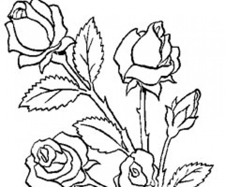 ぬりえページ: 花束 (自然) #160747 - 無料の印刷可能なぬりえページ