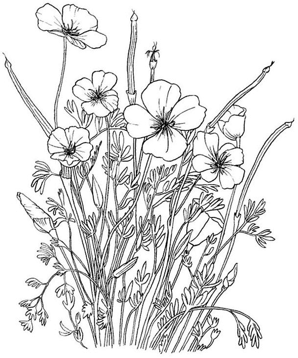 ぬりえページ: 花束 (自然) #160808 - 無料の印刷可能なぬりえページ