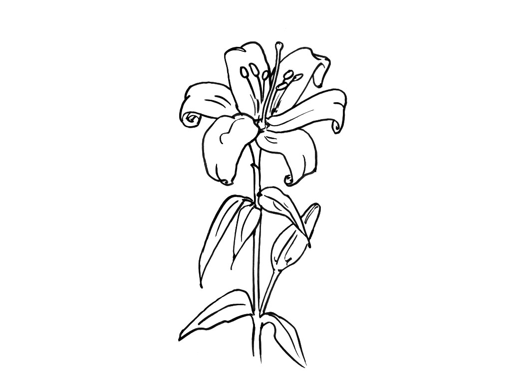 ぬりえページ: 花束 (自然) #160844 - 無料の印刷可能なぬりえページ
