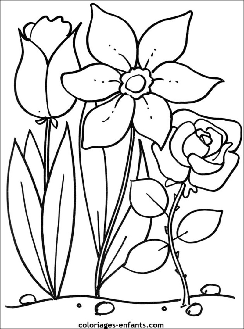 ぬりえページ: 花束 (自然) #160931 - 無料の印刷可能なぬりえページ