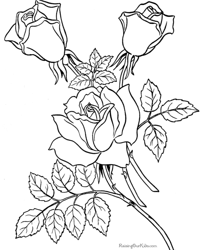 ぬりえページ: 花束 (自然) #161085 - 無料の印刷可能なぬりえページ