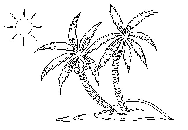 ぬりえページ: 椰子の木 (自然) #162123 - 無料の印刷可能なぬりえページ