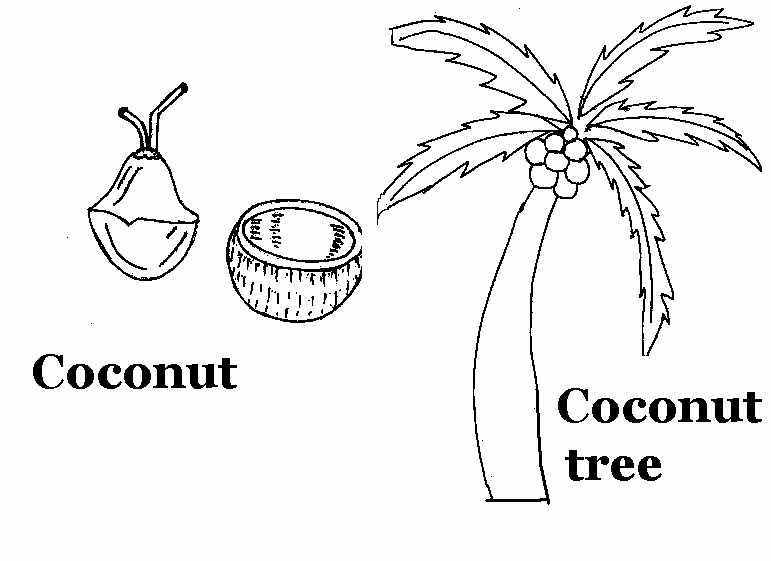 ぬりえページ: 椰子の木 (自然) #162365 - 無料の印刷可能なぬりえページ