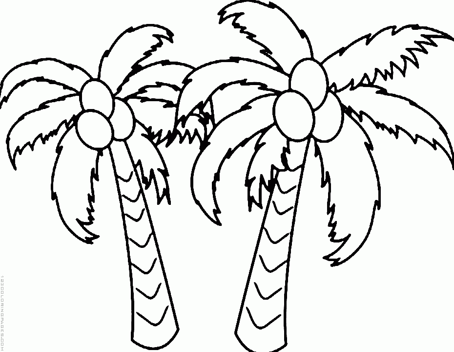 ぬりえページ: 椰子の木 (自然) #162425 - 無料の印刷可能なぬりえページ